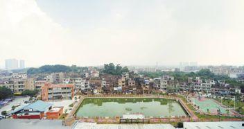 东莞茶山镇爆料新闻视频,视频揭秘真相