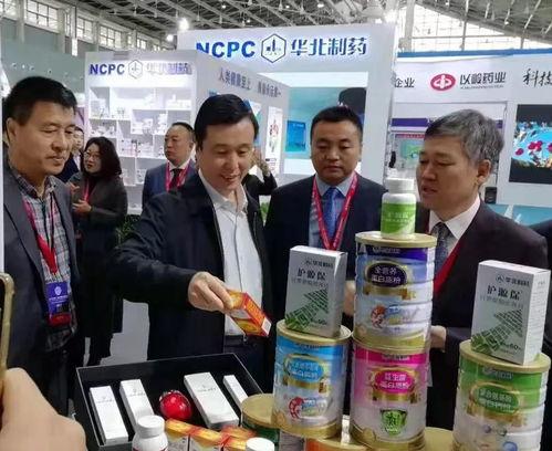 石家庄华药最新爆料,揭秘企业创新与发展新篇章 第2张 石家庄华药最新爆料,揭秘企业创新与发展新篇章 第2张